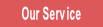 Our Service.