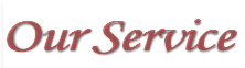 Our Service